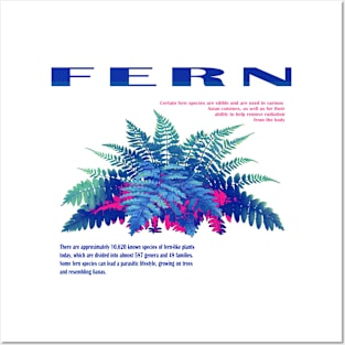 Fern blue Posters and Art